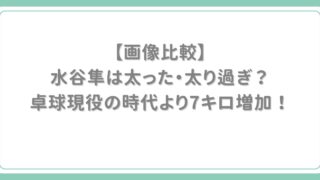 水谷隼は太った・太り過ぎたのはいつ頃から？