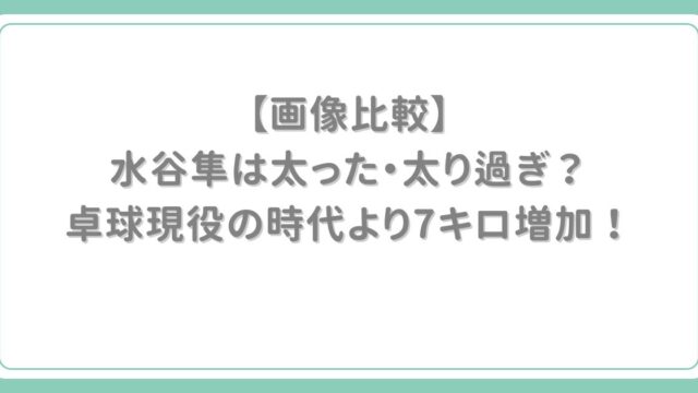 水谷隼は太った・太り過ぎたのはいつ頃から？