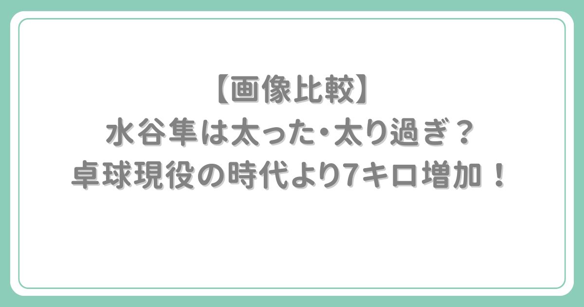水谷隼は太った・太り過ぎたのはいつ頃から？